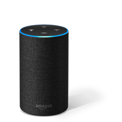 amazon echo walmart canada