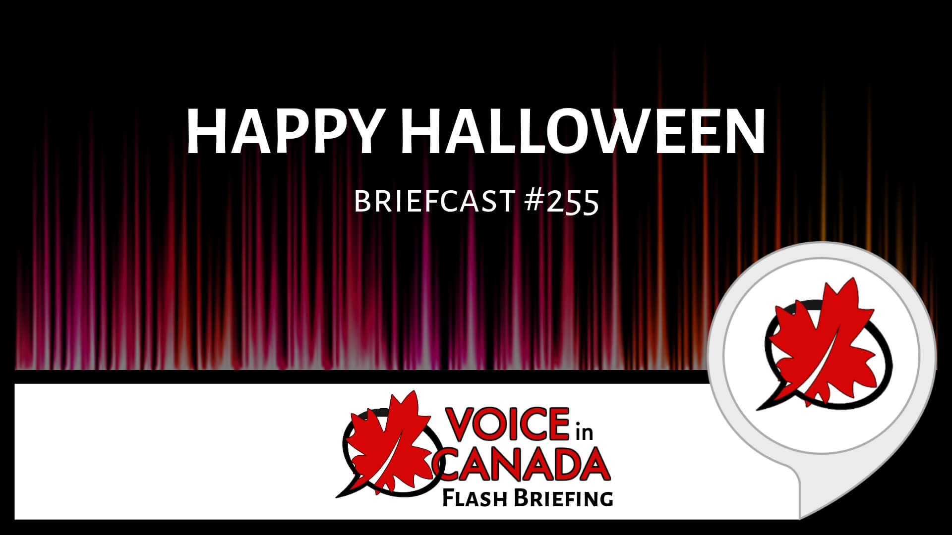 255 Happy Halloween