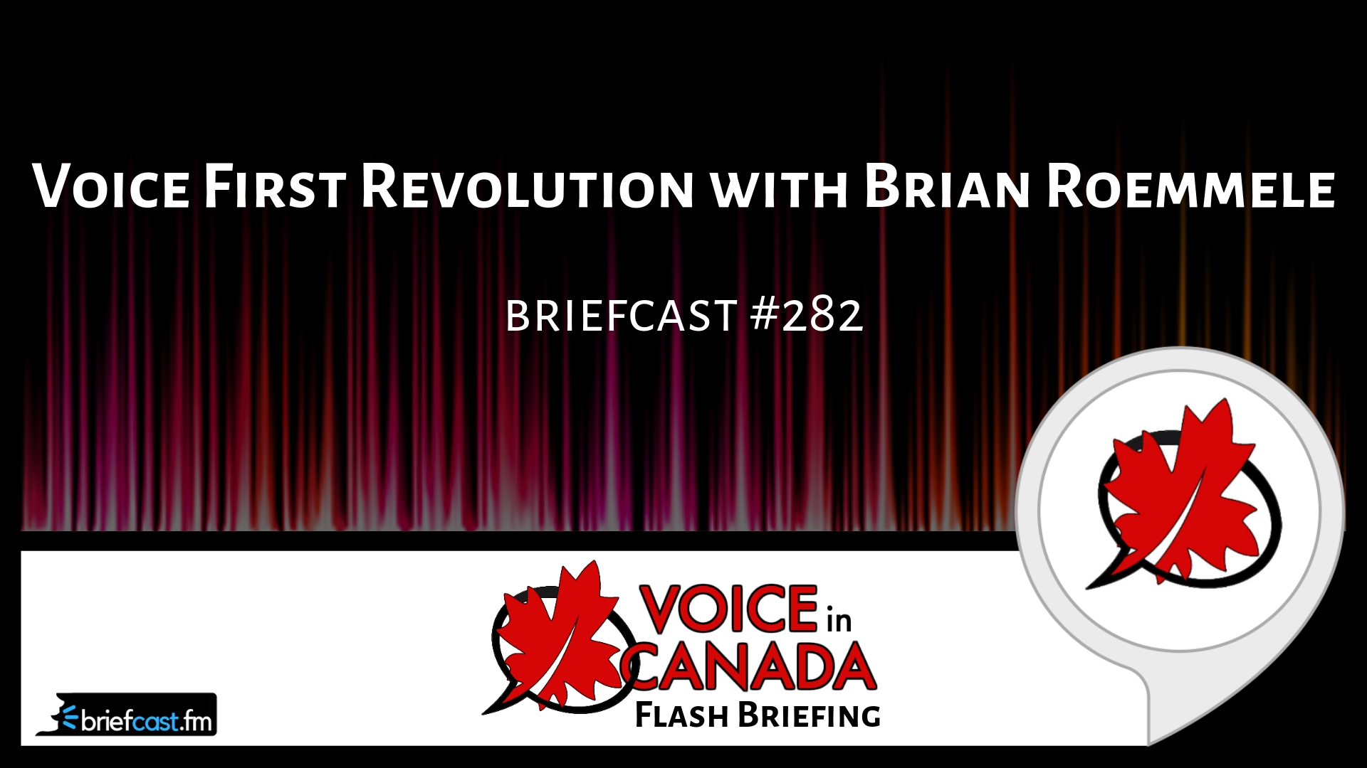 Voice First Revolution with Brian Roemmele