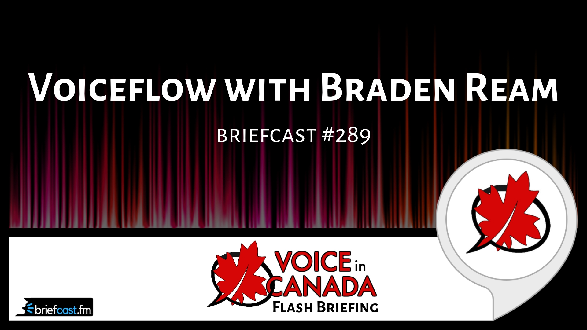 289 Voiceflow with Braden Ream