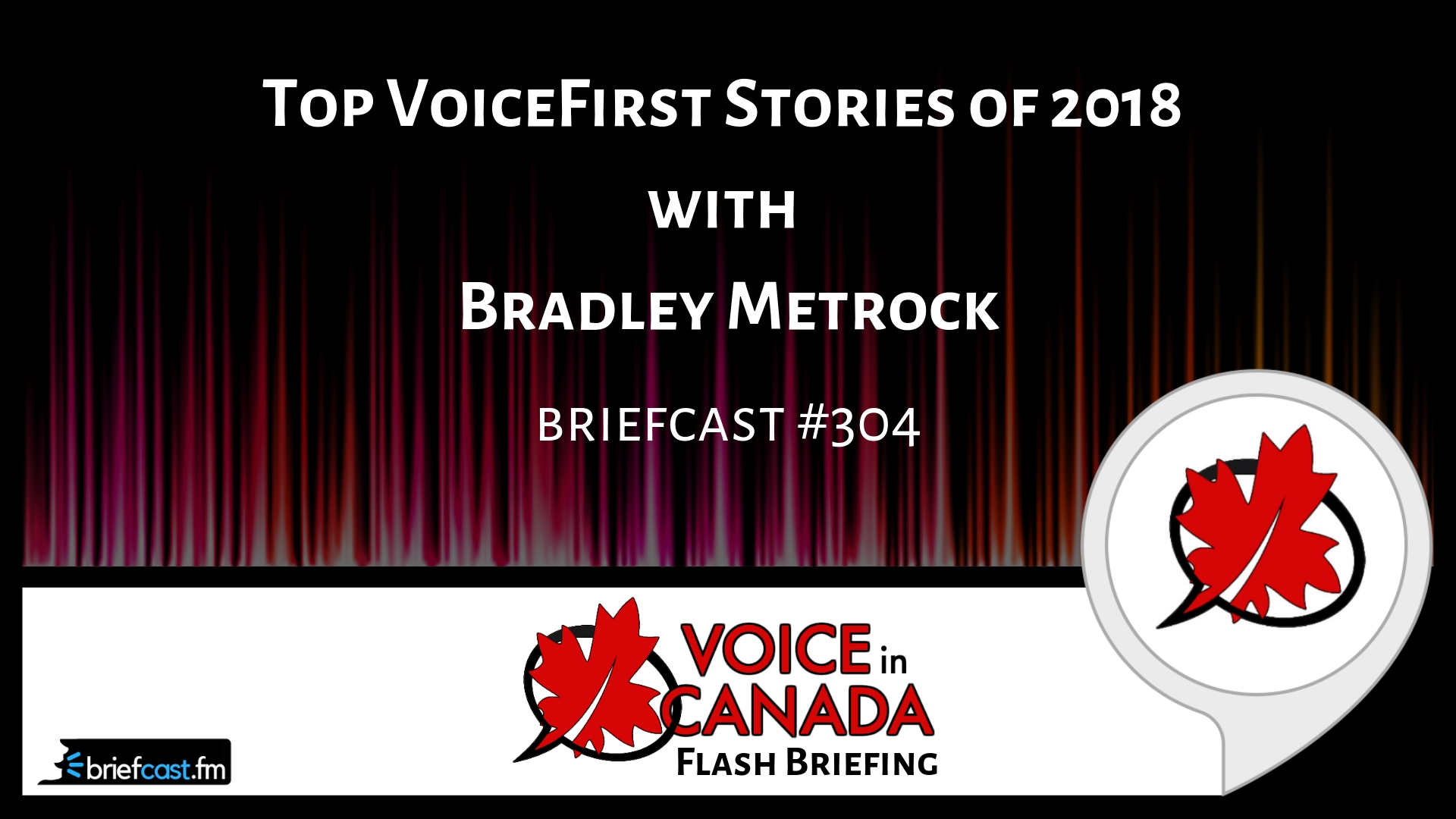 303 Top VoiceFirst Stories of 2018 with Bradley Metrock