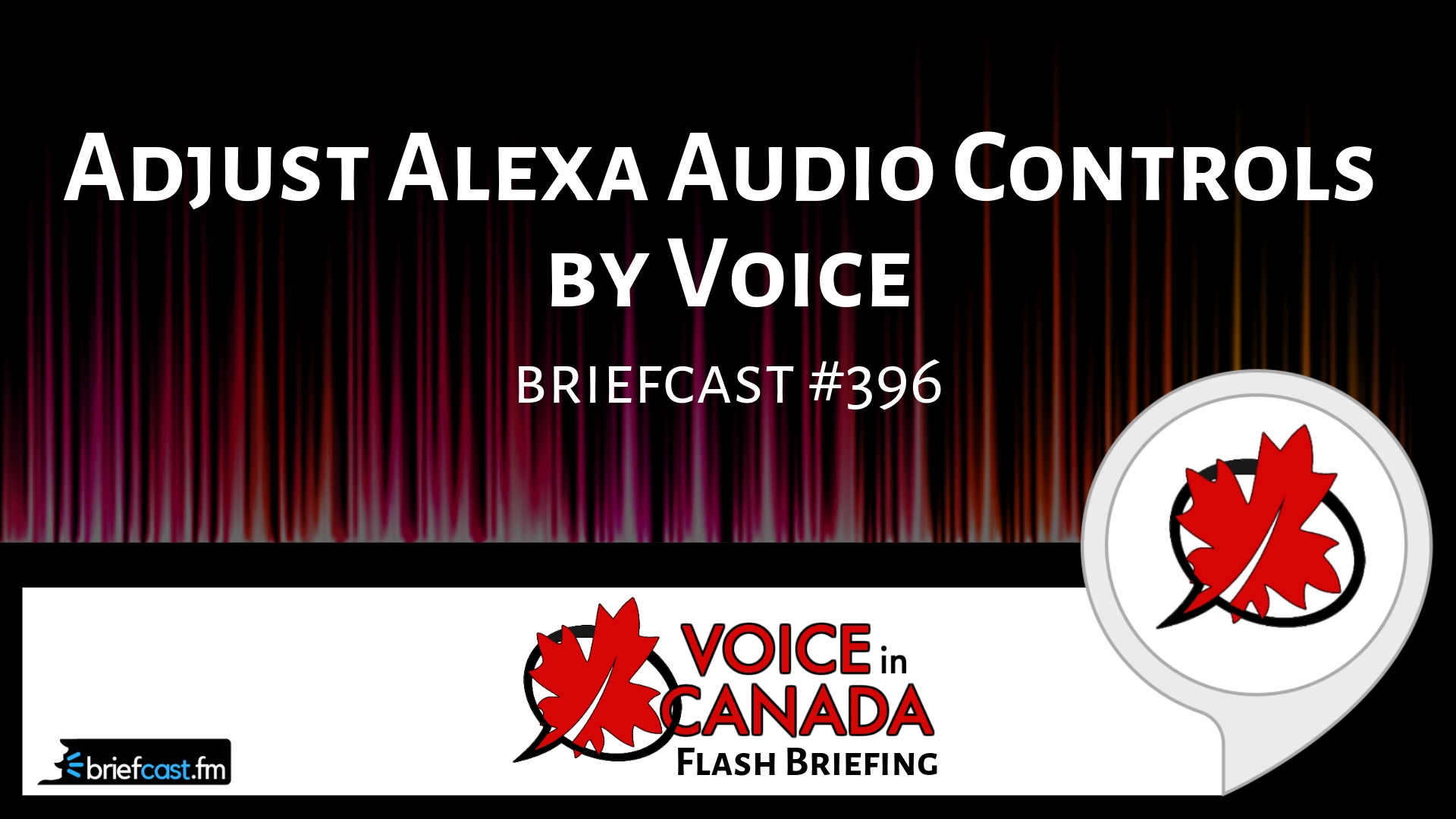 Adjust Alexa Audio Controls by Voice