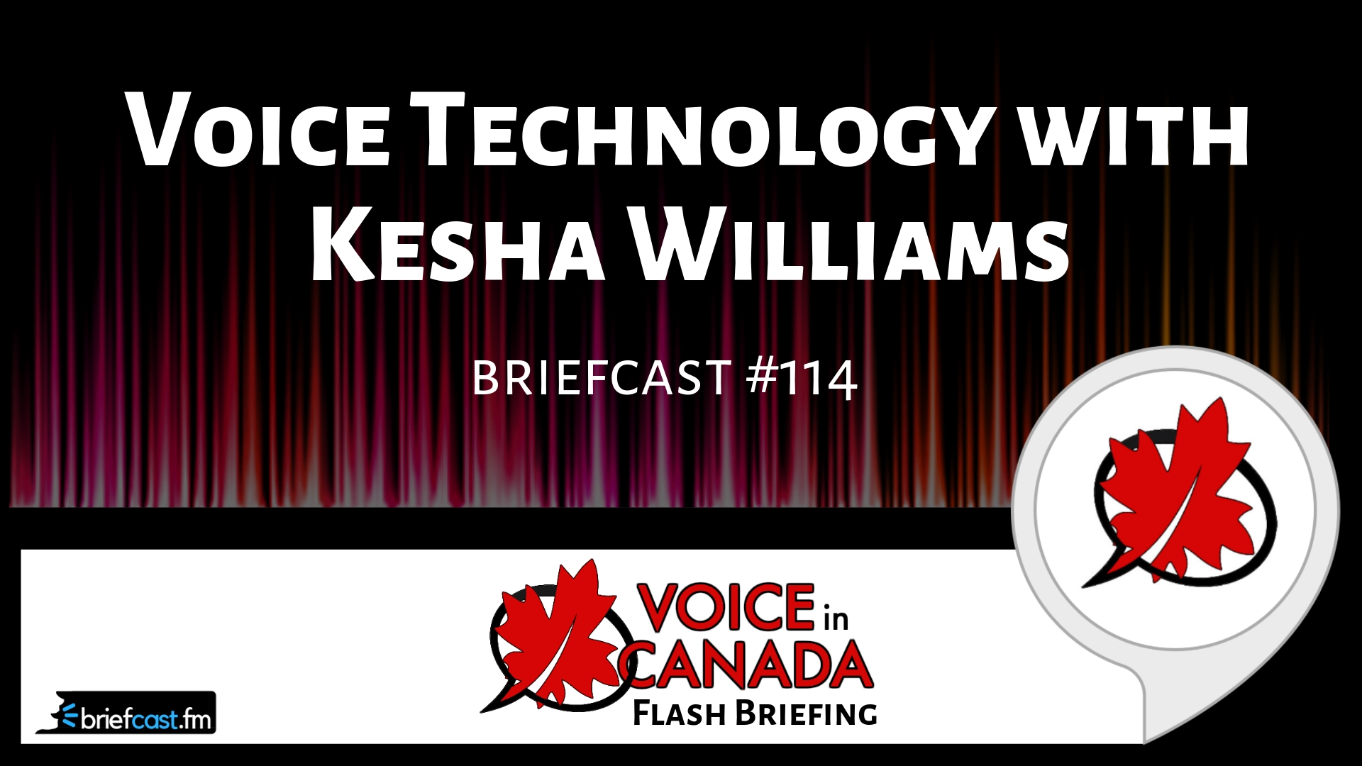 Voice Technology with Kesha Williams