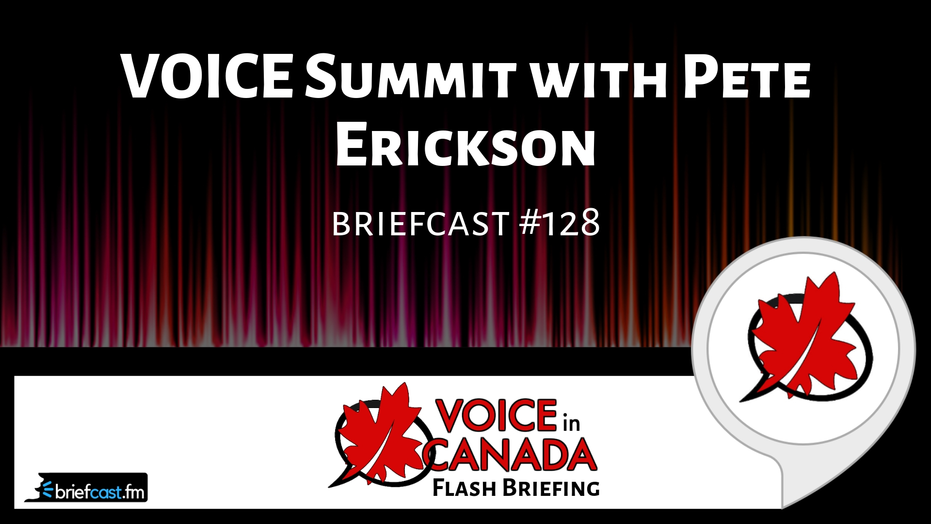 VOICE Summit with Pete Erickson