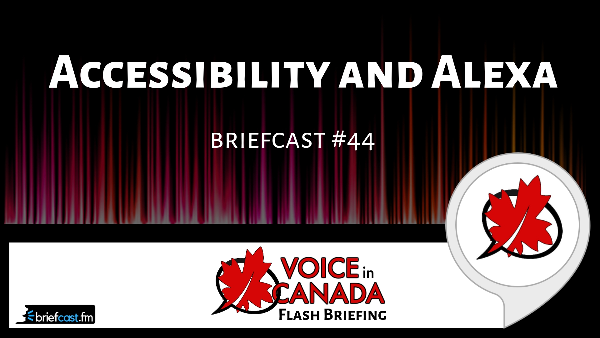 Accessibility and Alexa