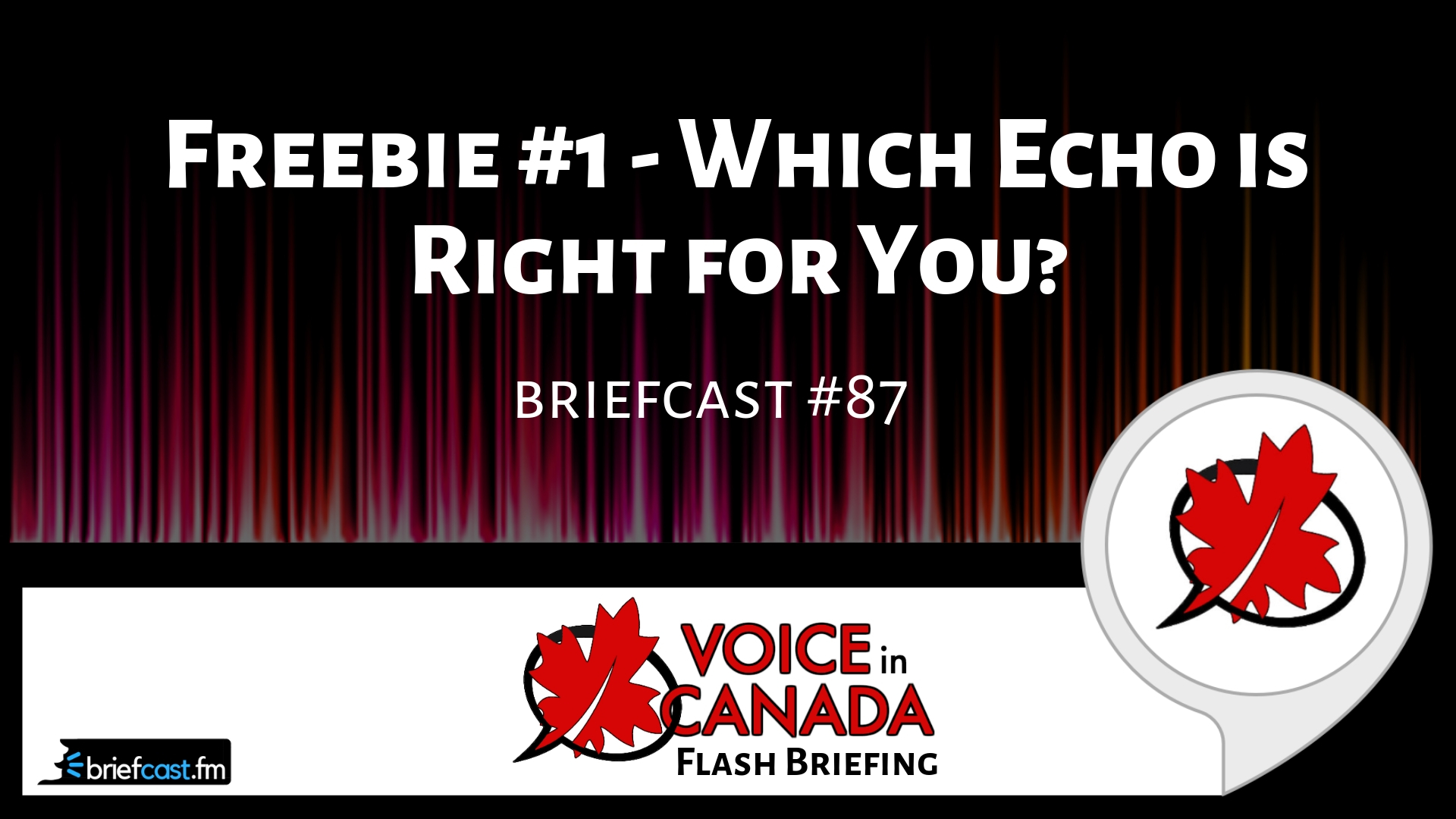 Freebie #1 - Which Echo is Right for You?