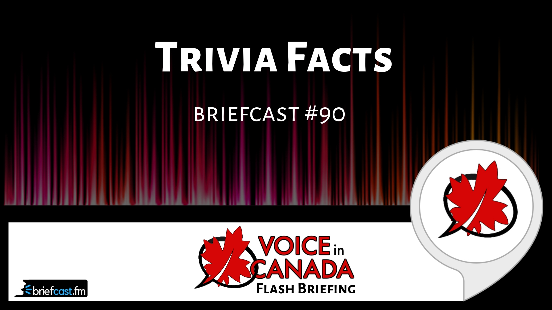 Trivia Facts