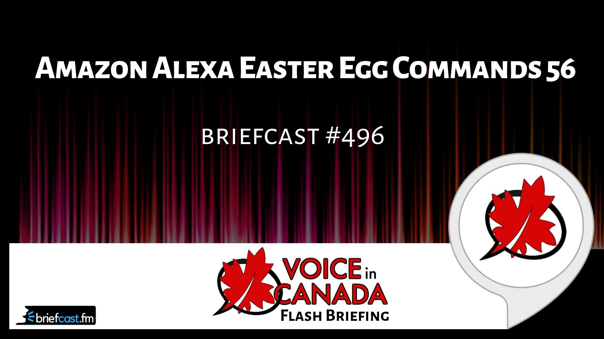 Amazon Alexa Easter Egg Commands 56
