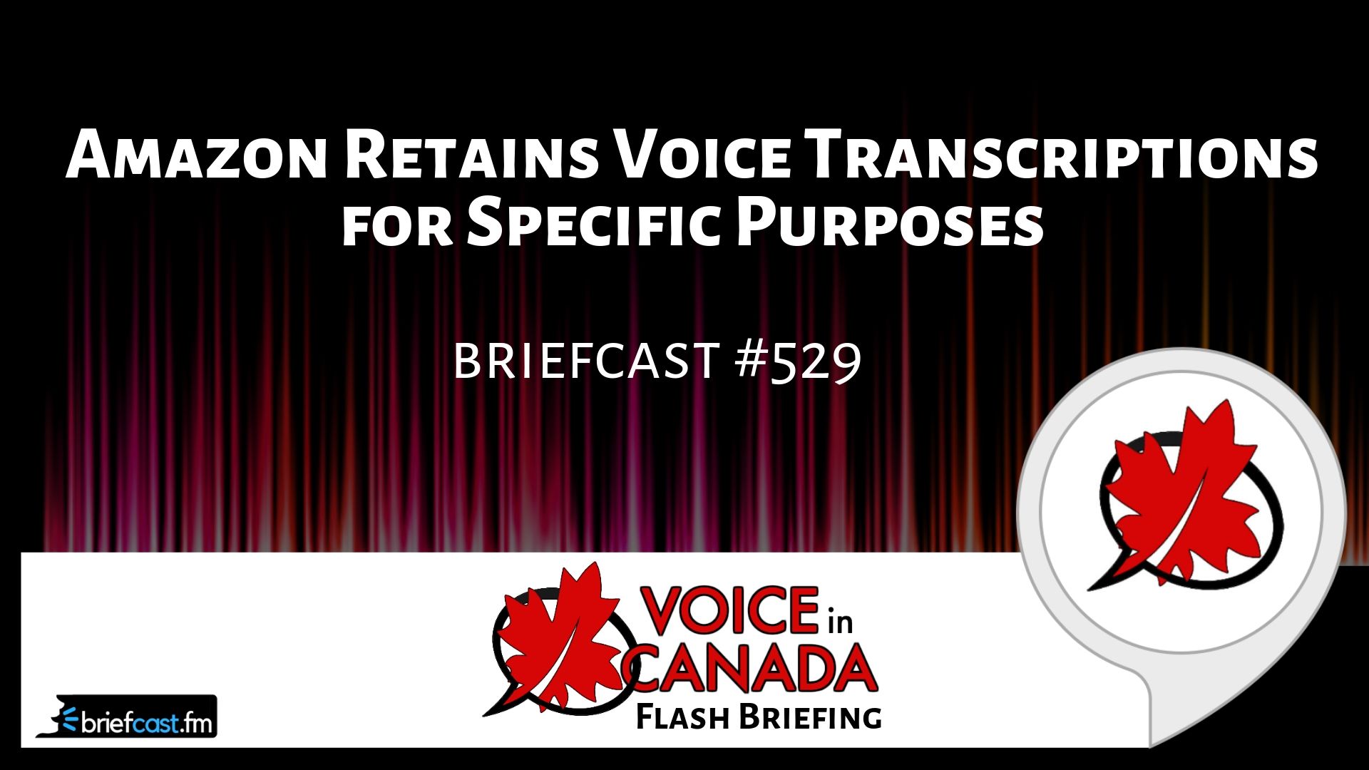 Amazon Retains Voice Transcriptions for Specific Purposes