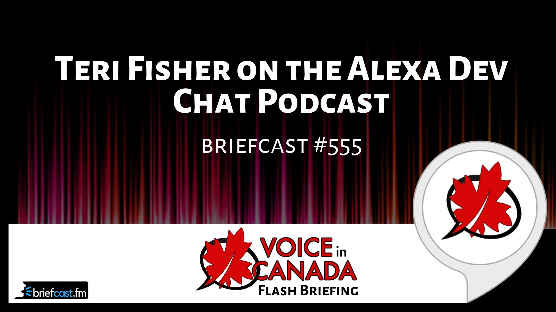 Teri Fisher on the Alexa Dev Chat Podcast