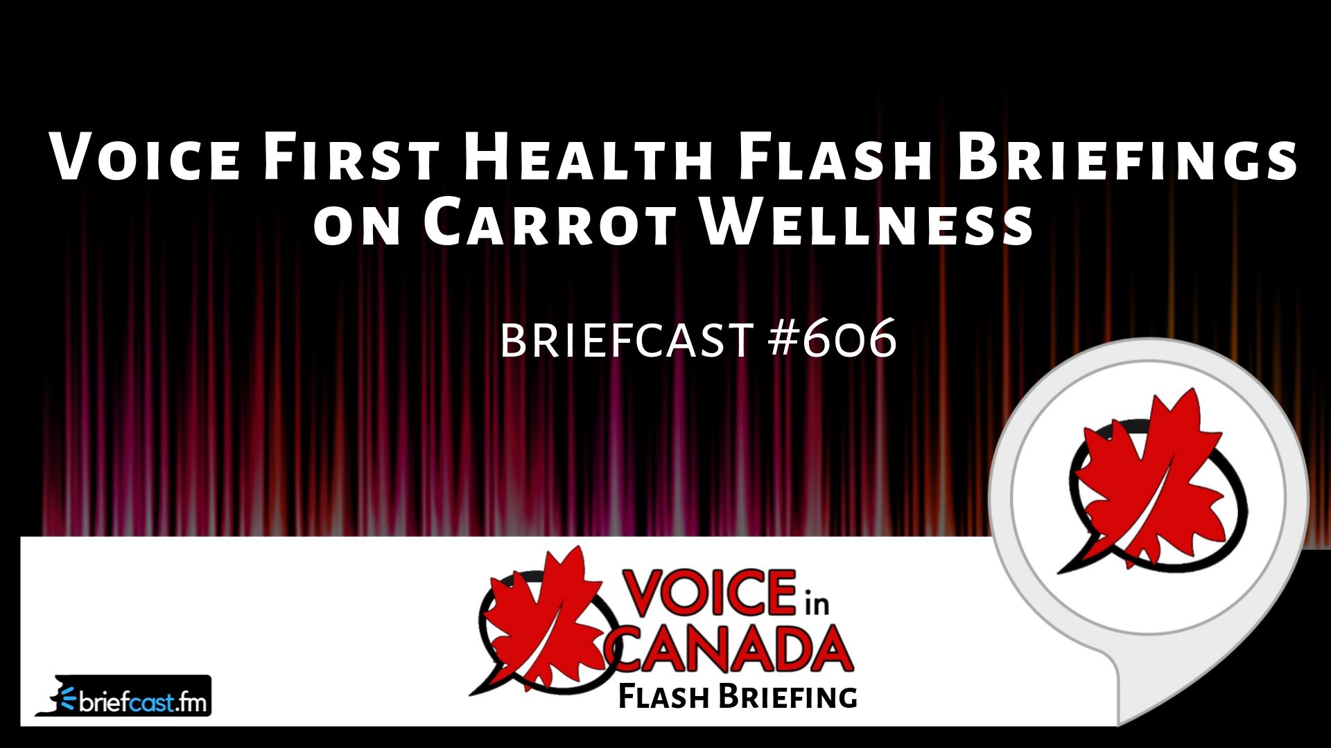 Voice First Health Flash Briefings on Carrot Wellness