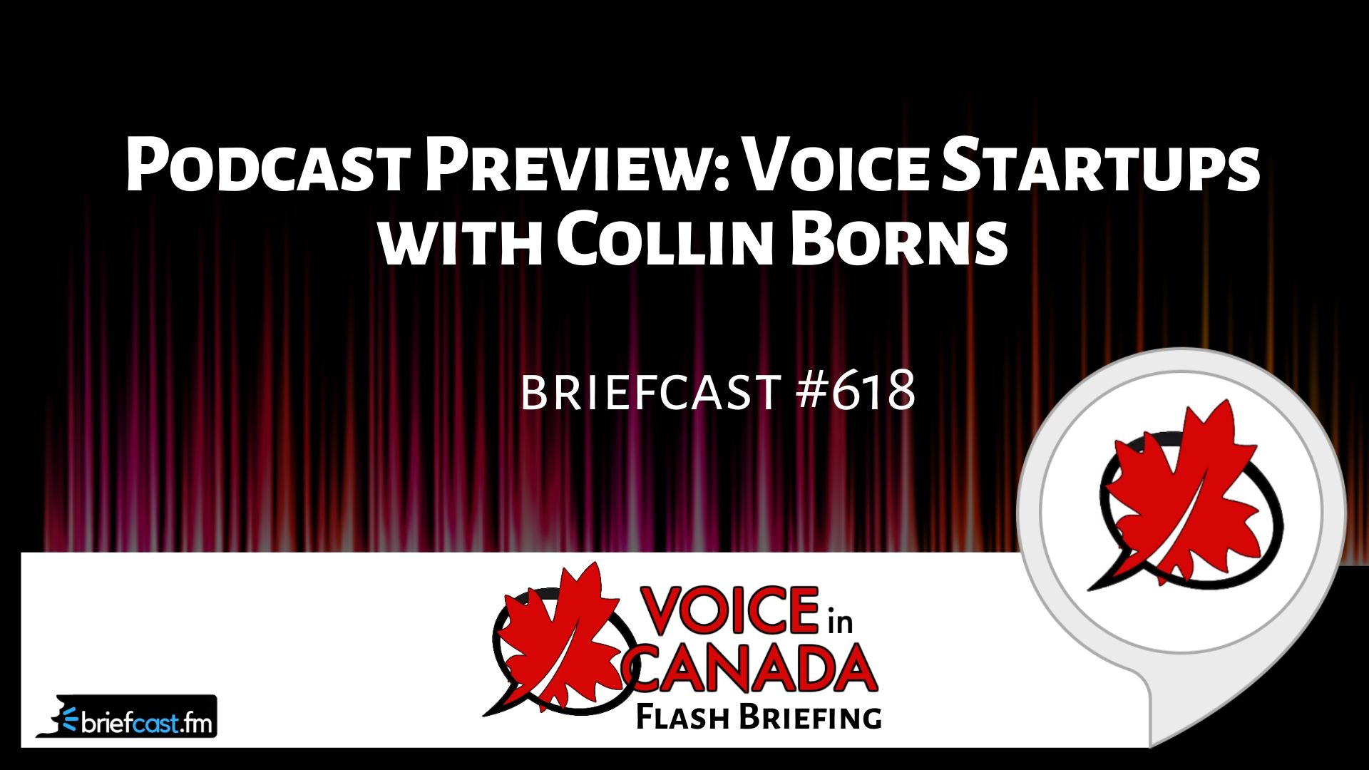 Podcast Preview: Voice Startups with Collin Borns