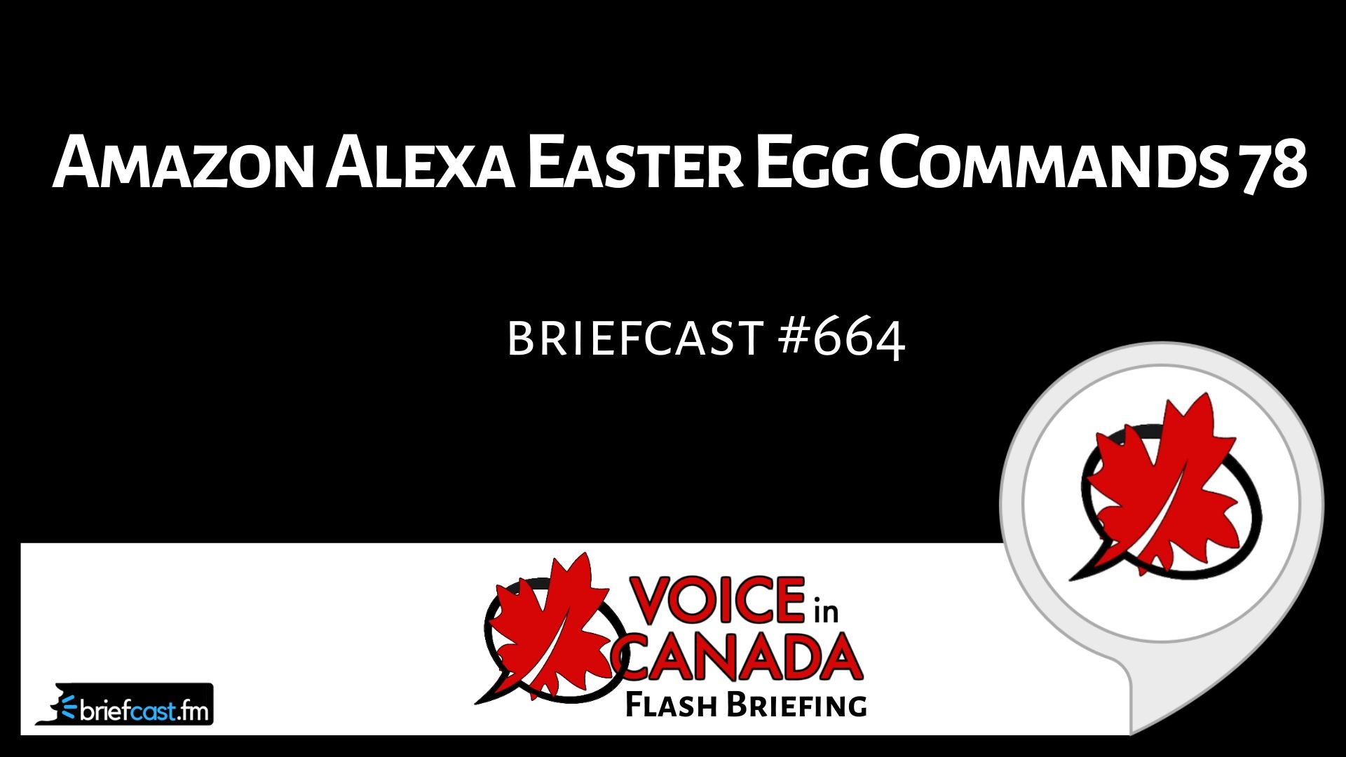 Amazon Alexa Easter Egg Commands 78