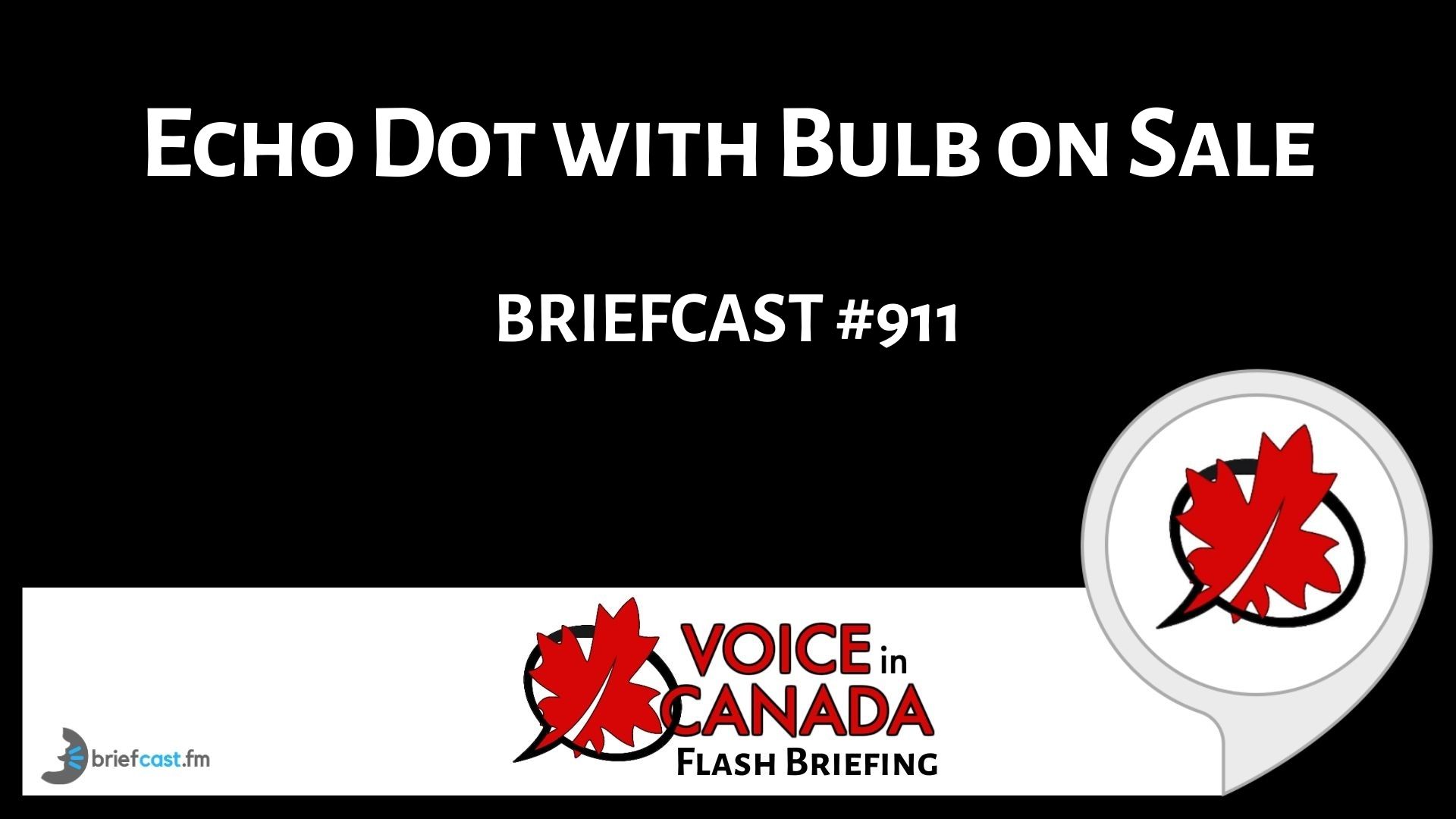 Echo Dot with Bulb on Sale